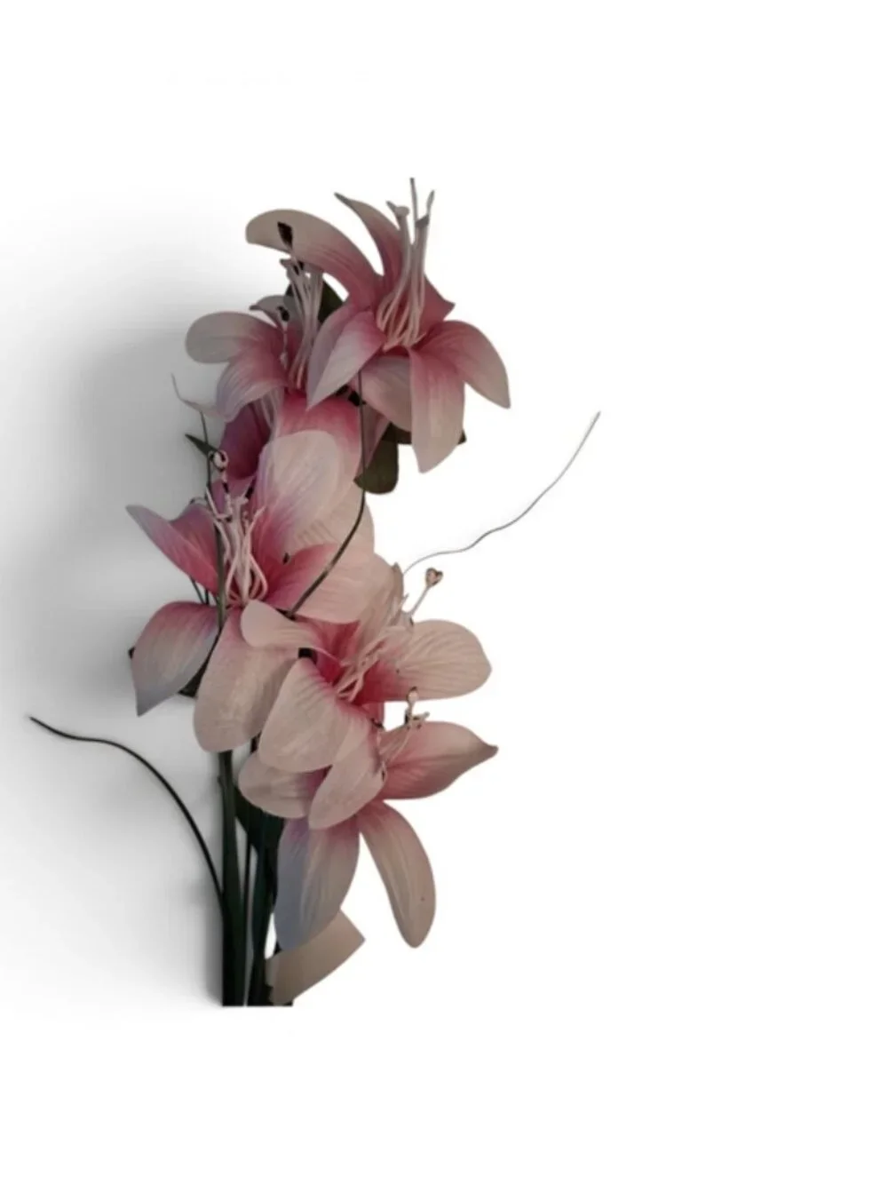 FIGLIOLINI S.R.L. elegant pink